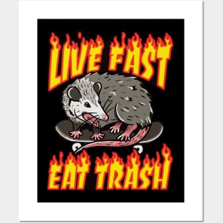 Live Fast Eat Trash Posters and Art